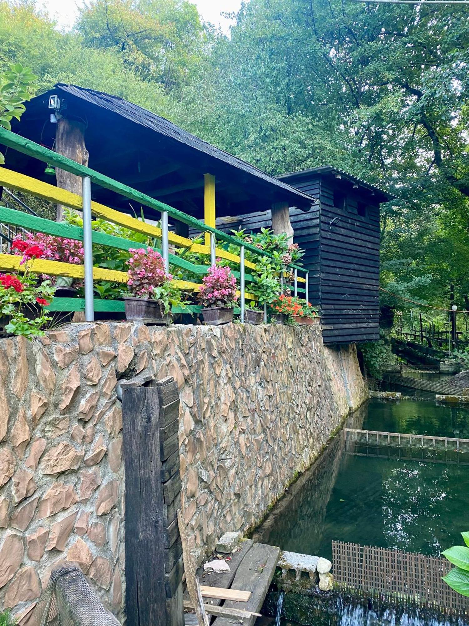コニツ Etno House Stari Mlinヴィラ エクステリア 写真