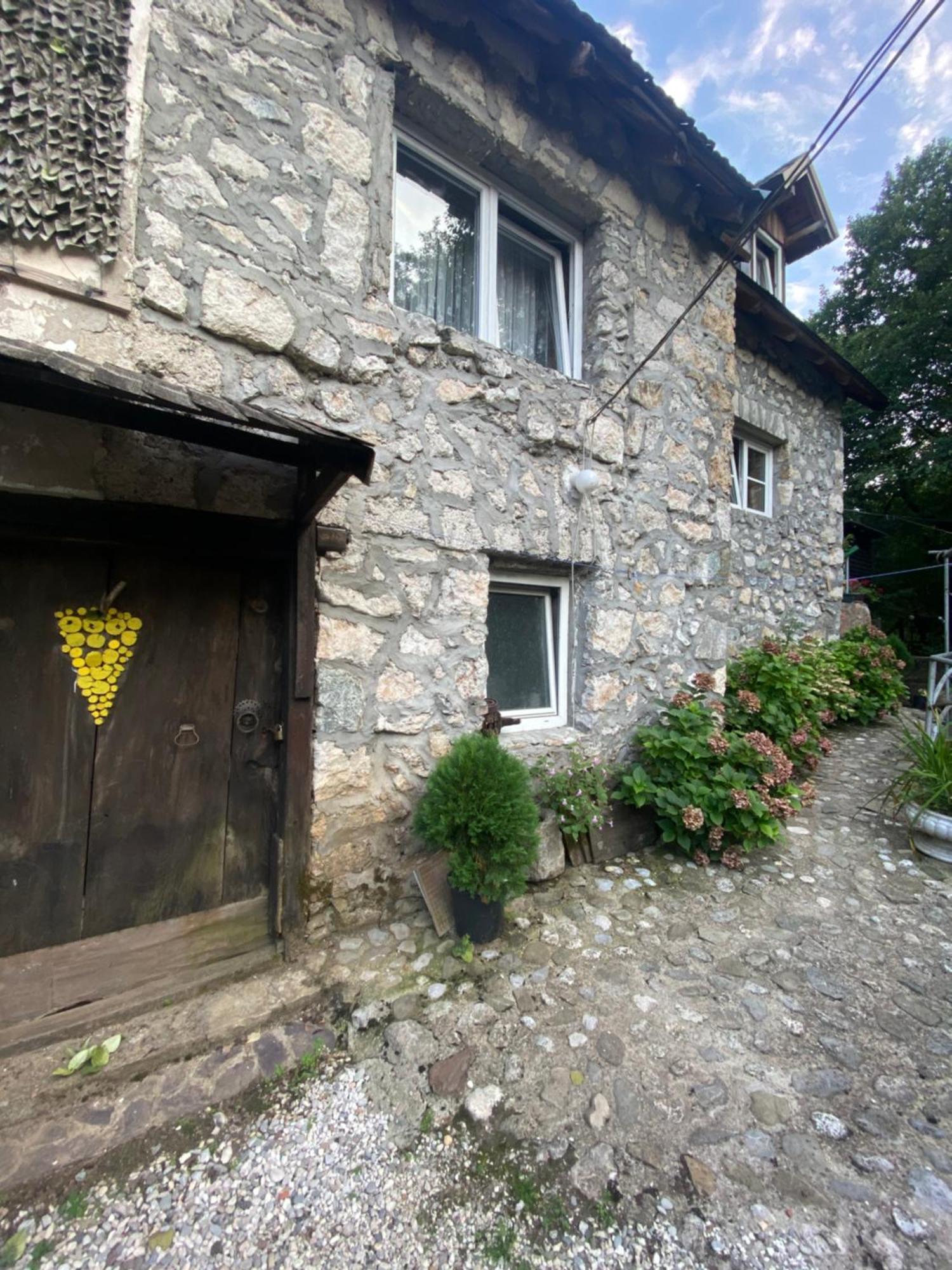 コニツ Etno House Stari Mlinヴィラ エクステリア 写真