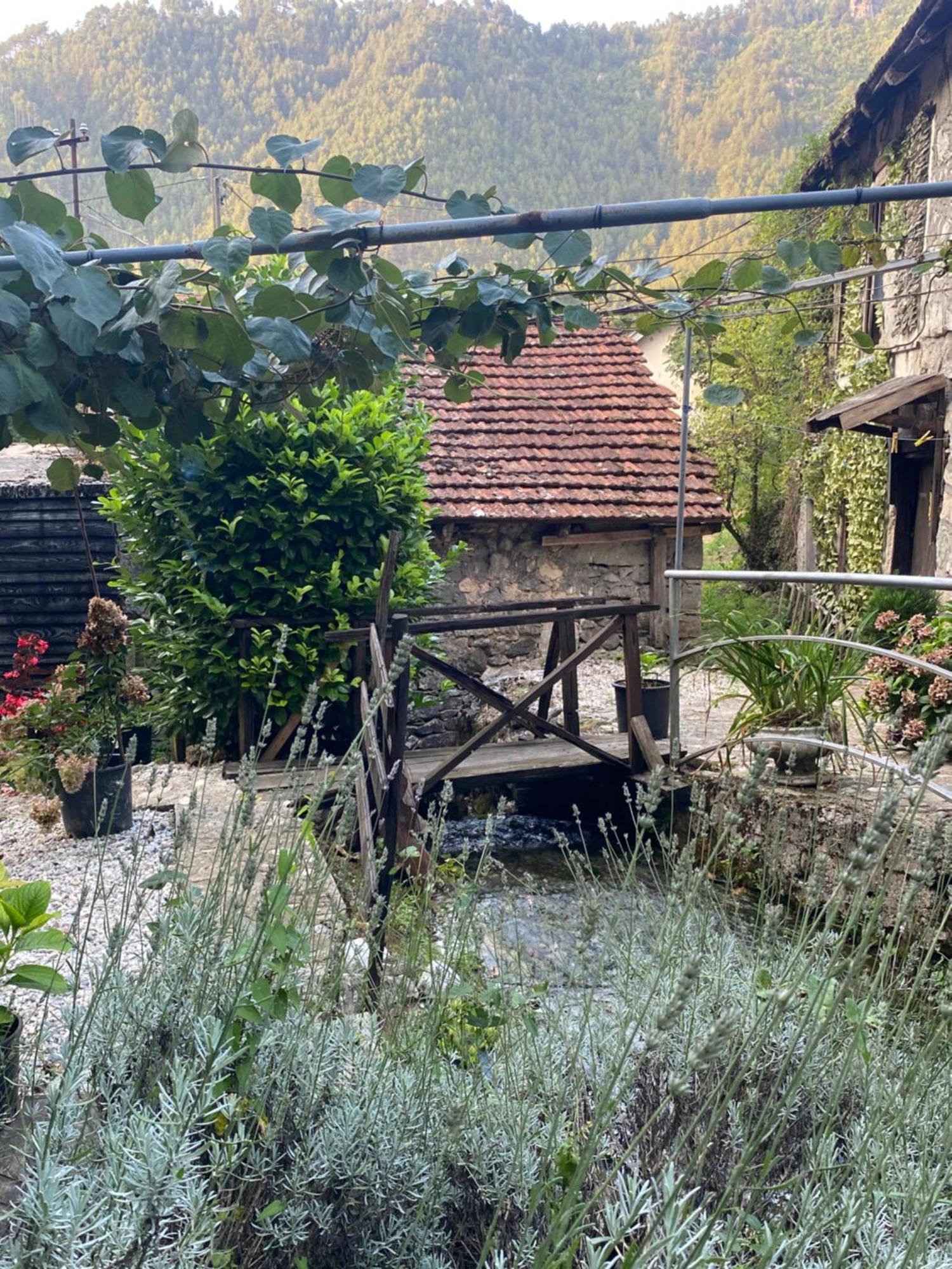 コニツ Etno House Stari Mlinヴィラ エクステリア 写真