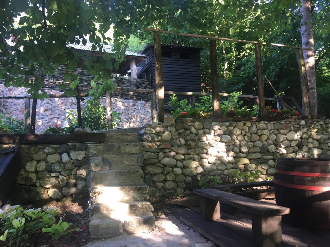 コニツ Etno House Stari Mlinヴィラ エクステリア 写真